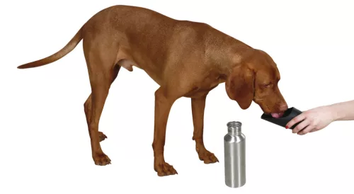 Rozsdamentes acél hordozható itató - 750 ml