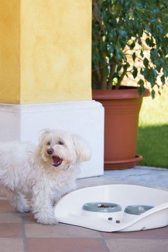 Duplaetető kisállatoknak - 46 x 35 x 11 cm