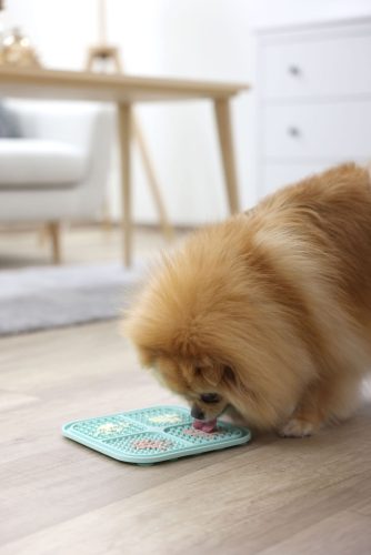 Szilikon lap nedves táplálék adagolásához  - türkiz, 20 x 20 cm