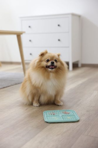 Szilikon lap nedves táplálék adagolásához  - türkiz, 20 x 20 cm