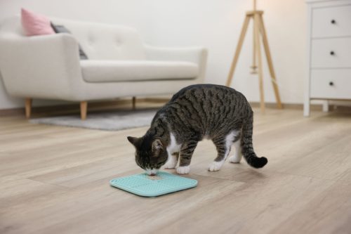 Szilikon lap nedves táplálék adagolásához  - türkiz, 20 x 20 cm