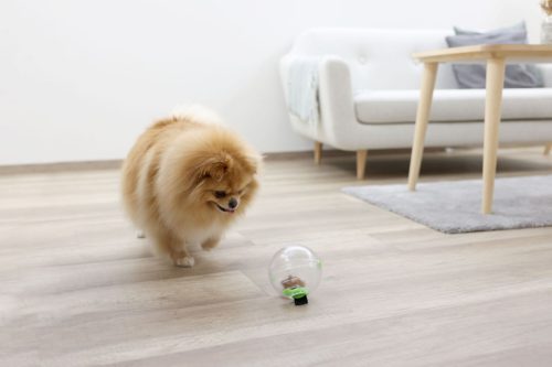 Multifeeder többfunkciós etetőtál 3 az 1-ben