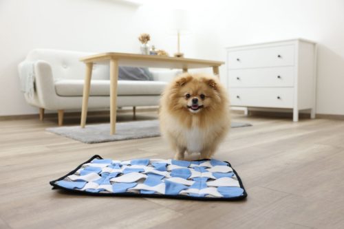 Keresőszőnyeg- szürke/fehér/kék, 60 x 45 cm