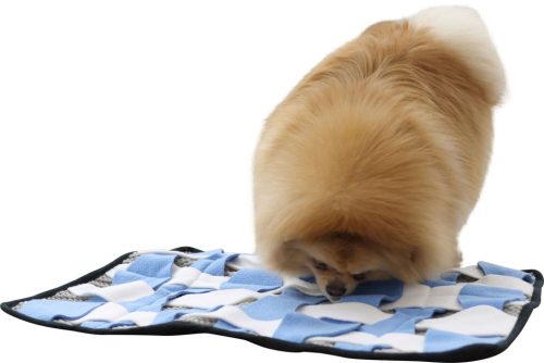 Keresőszőnyeg- szürke/fehér/kék, 60 x 45 cm