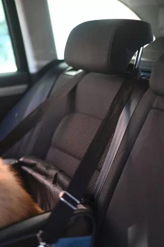 Vacation autós kutyaszállító táska - szürke/kék, 44 x 35 x 30 cm