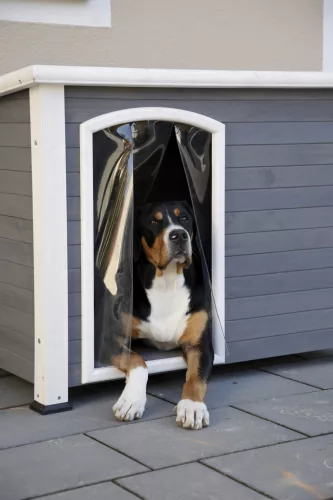 Kenny kutyaház - szürke/fehér, 113 x 77 x 81 cm