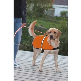   Maxi Safe biztonsági mellény, 40-70 cm / 60-90 cm / 50 cm, Méret: L