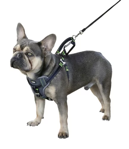 Biztonsági kutyahám kocsiba - fekete, S, 44-55 cm, 20 mm