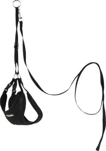 Kölyökkutyahám pórázzal - fekete, 30-50 cm, 10 mm