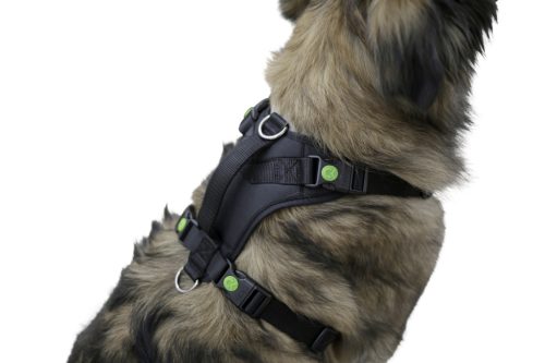 Pulsive kutyahám - fekete, 36-50 cm, 46-60 cm, S méret