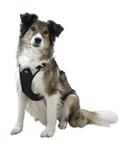 Pulsive kutyahám - fekete, 50-62 cm, 56-74 cm, M méret