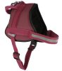 Maestro 2.0 hám - burgundy, azonosító tubussal, 45-60 cm, 15 mm