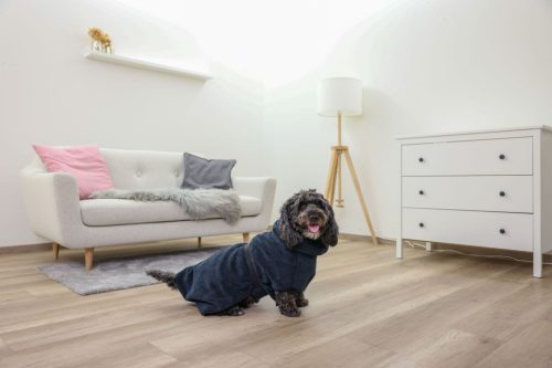 Fürdőköpeny kutyáknak - kék, XL, 70 cm