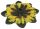 Sunflower szimatszőnyeg - 40 cm