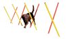 3 részes agility szett - piros/sárga