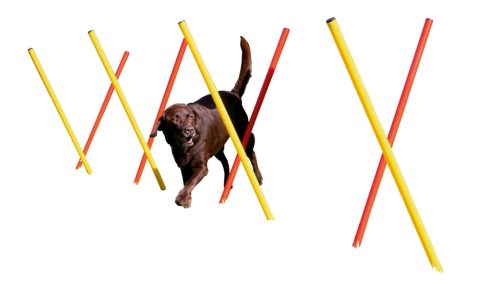 3 részes agility szett - piros/sárga