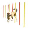 3 részes agility szett - piros/sárga