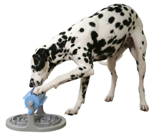 Anti-Gobble jutalomfalat adagoló - szürke/kék, 27 x 32 x 20-26 cm