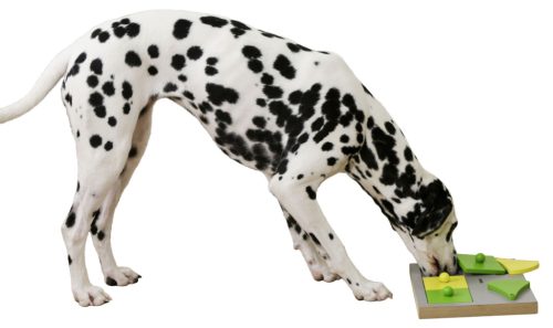 Cake gondolkodó és tanulójáték kutyáknak - 30 x 23 cm