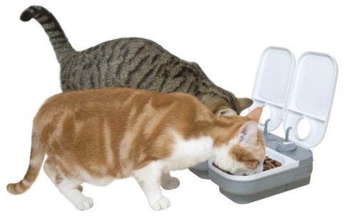 Cat Mate® automata etető - 2 etetős