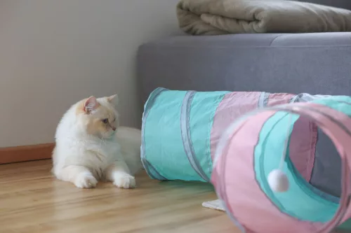 Macskacső három bejárattal - türkiszkék/pink/szürke, 25 (átmérő) x 80 x 50 cm