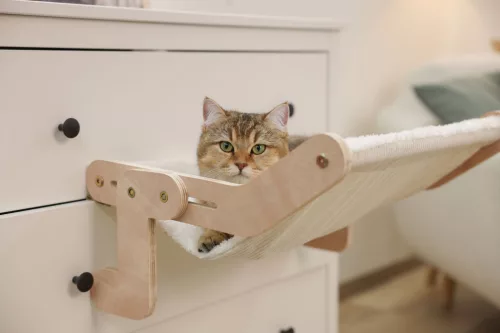 Függőágy macskáknak - fehér, 42.5 x 47cm