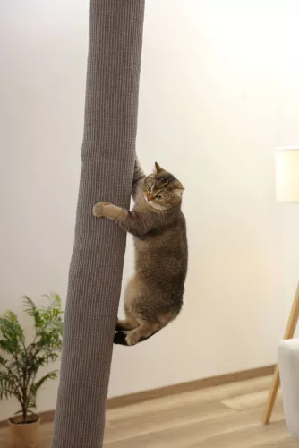 Climber mászózsák macskáknak - szürke, 16 x 16 x 240 cm