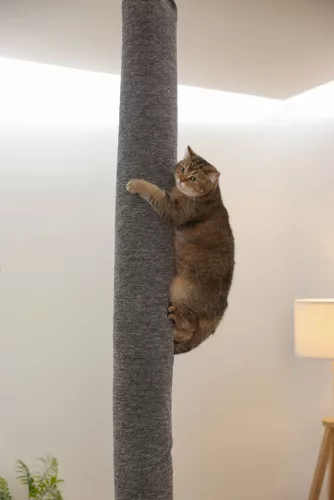 Carpet mászózsák macskáknak - szürke, 16 x 16 x 240cm