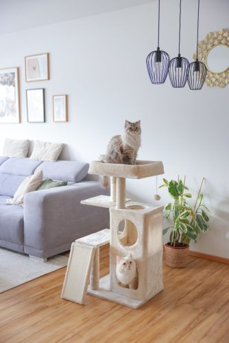 Alessia macskafa - bézs, 48.5 x 40 x 100 cm