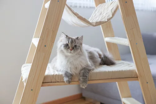 Ladder macskafa - bézs, 97 x 39.5 x 134 cm