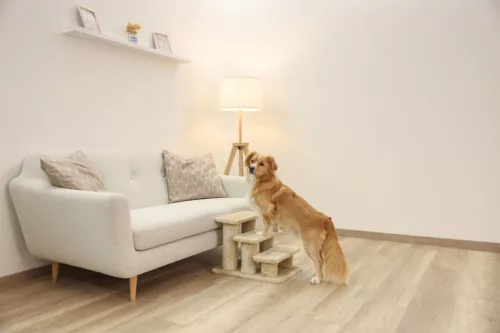 Easy Climb 2.0 fellépő kisállatoknak - 45 x 35 x 34 cm, max 50 kg-ig