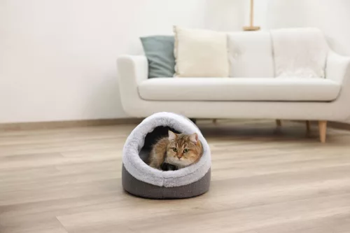 Jana macskapihenő - szürke, 35 x 41 x 30 cm