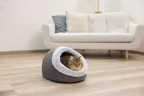 Jana macskapihenő - szürke, 41 x 50 x 34 cm