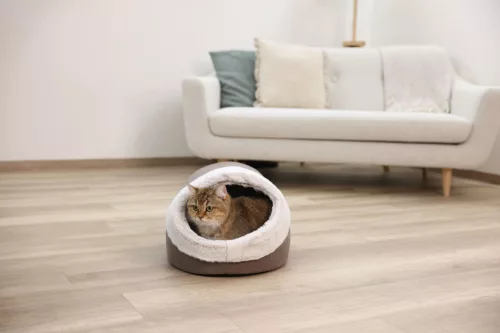 Jana macskapihenő - kávébarna, 41 x 50 x 34 cm