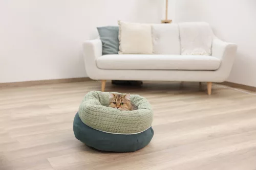 Anne macskaágy - zöld, 40 cm (átmérő) x 23 cm (magasság)