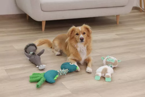 Dinosaur dinoszaurusz kutyajáték - 14 5 x 47 cm