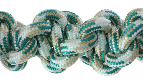 Dinosaur dinoszaurusz kutyajáték - 14 5 x 47 cm