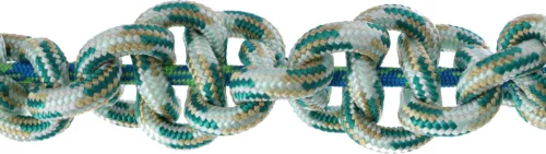 Dinosaur dinoszaurusz kutyajáték - 14 5 x 47 cm