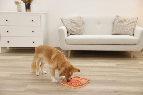 Owl gondolkodó és tanulójáték kutyáknak és macskáknak - 30 x 28 cm