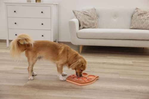 Owl gondolkodó és tanulójáték kutyáknak és macskáknak - 30 x 28 cm