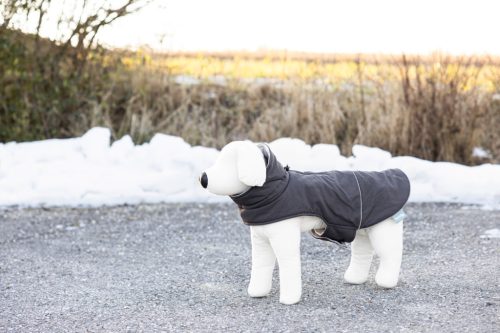 Montreal kutyakabát - szürke, L, 45 cm