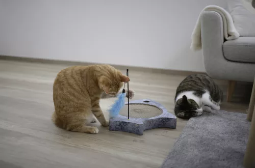 Marie kaparófa - 41,5 x 33 cm