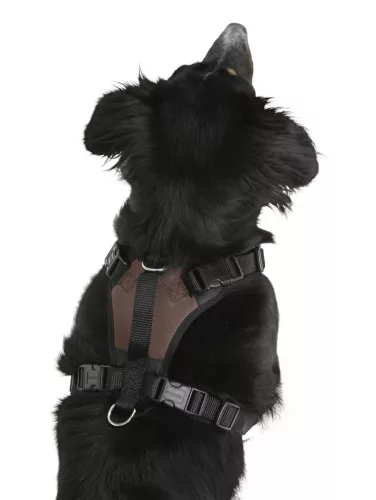 PULSIVE kutya hám - barna, 50-62 cm, 56-74 cm, M méret