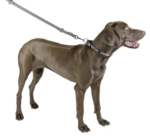 Shiny Night nyakörv - 20 mm / 25-40 cm, méret: S