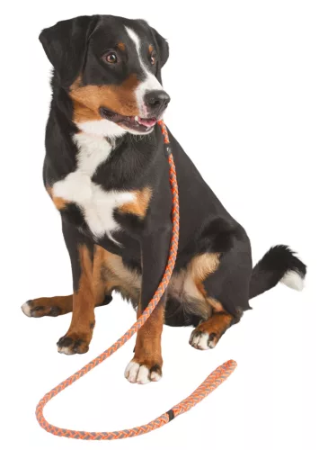 Maxi Safe egyszerű póráz - neon narancs, 170 cm x 12 mm