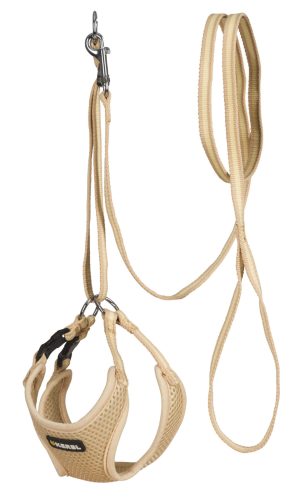 Kölyökkutyahám pórázzal - bézs, 24-44cm/10mm