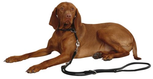 Róma fojtónyakörv - fekete, 45 cm, 8 mm