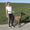 ACTIVE Futó póráz derék övvel