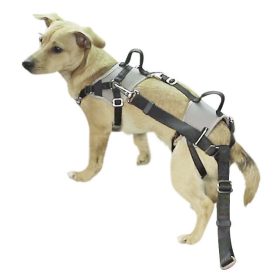   Biztonsági övhöz csatlakoztatható kutyahám autóba - méret: XS