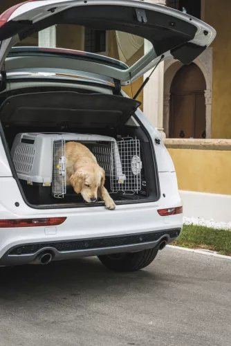 Gulliver szállítódoboz - szürke, 80 x 58 x 62 cm